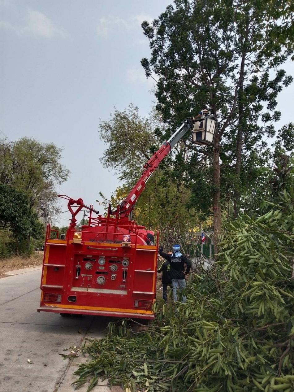 ตัดแต่งกิ่งไม้ป้องกันเหตุวาตภัย